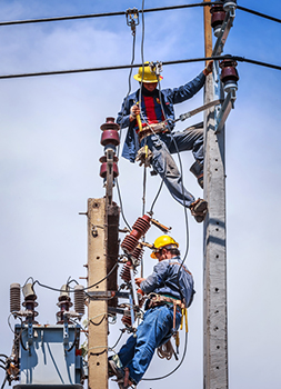 Power Line Worker AAS